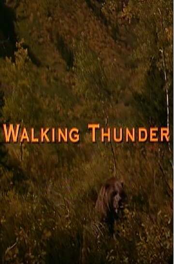 Poster of Walking Thunder