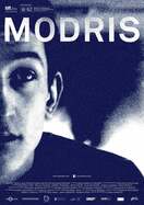 Poster of Modris