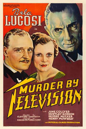 Poster of Murder by Television