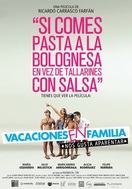 Poster of Family Holidays