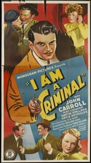 Poster of I Am a Criminal