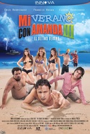 Poster of Mi verano con Amanda 3