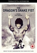 Poster of The Dragon's Snake Fist