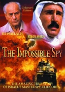 Poster of The Impossible Spy