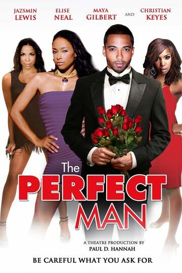 Poster of The Perfect Man