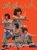 Poster of The Secret Shaolin Kung-Fu