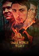 Poster of The Small Woman in Grey