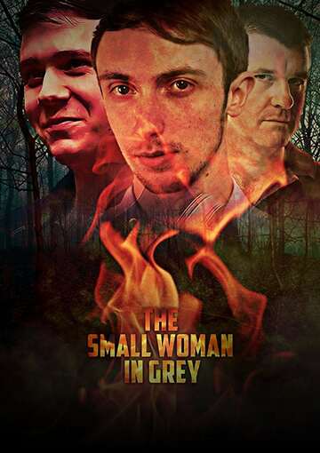 Poster of The Small Woman in Grey