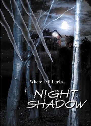 Poster of Night Shadow