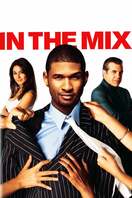 Poster of In The Mix