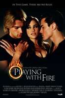 Poster of Playing with Fire