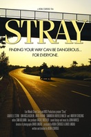 Poster of Stray