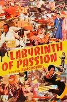 Poster of Labyrinth of Passion
