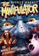 Poster of The Manipulator