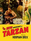Poster of The New Adventures of Tarzan