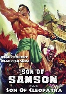 Poster of Son of Samson