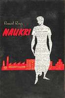 Poster of Naukari