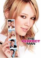 Poster of The Perfect Man