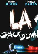 Poster of L.A. Crackdown