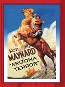 Poster of Arizona Terror