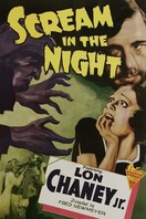 Poster of A Scream in the Night