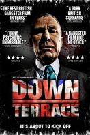 Poster of Down Terrace