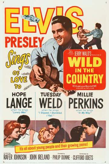 Poster of Wild in the Country