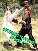 Poster of Mysterious Footworks of Kung Fu