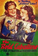 Poster of The Bold Caballero