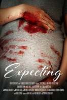 Poster of Expecting