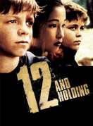 Poster of 12 and Holding