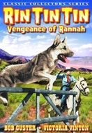 Poster of Vengeance of Rannah