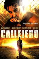 Poster of Callejero