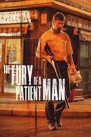 Poster of The Fury of a Patient Man