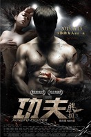 Poster of Kung Fu Fighter