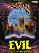Poster of Evil in the Woods