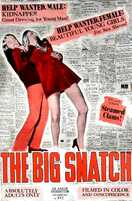 Poster of The Big Snatch