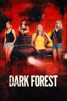 Poster of Dark Forest