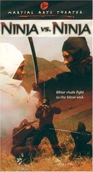 Poster of Ninja vs. Ninja
