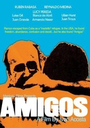 Poster of Amigos