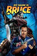 Poster of My Name Is Bruce