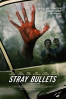 Poster of Stray Bullets