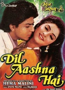 Poster of Dil Aashna Hai