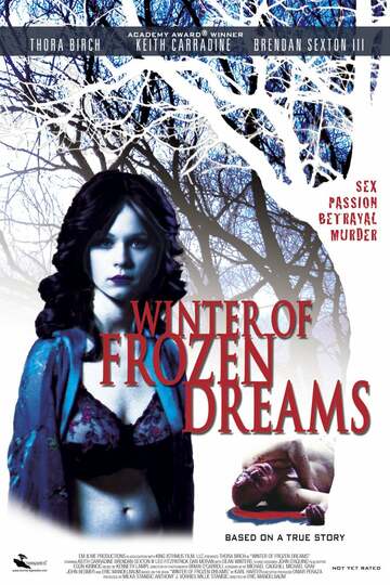 Poster of Winter of Frozen Dreams