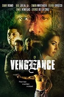 Poster of Vengeance