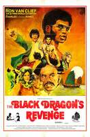 Poster of Black Dragon's Revenge