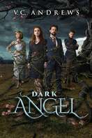 Poster of Dark Angel