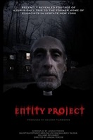 Poster of Entity Project