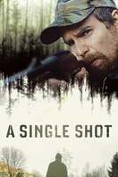 Poster of A Single Shot