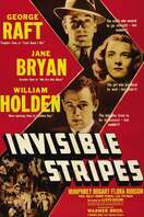Poster of Invisible Stripes